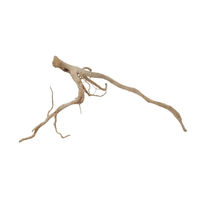 Produktbild von AquaOne XXL Moorkienwurzel Naturholz für Aquarium und Aquascaping