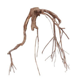 AquaOne XXL Talawawurzel Nr. 1572 Naturholz für Aquarium und Aquascaping – Bild 1 von 4