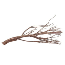 AquaOne XXL Talawawurzel Nr. 1581 Naturholz für Aquarium und Aquascaping – Bild 1 von 4