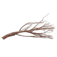 Produktbild von AquaOne XXL Talawawurzel Nr. 1581 Naturholz für Aquarium und Aquascaping