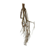 Produktbild von AquaOne XXL Talawawurzel Nr. 8187 Naturholz für Aquarium und Aquascaping