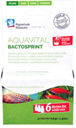 Aquarium Münster Aquavital Bactosprint 6-Wochen-Kur Wasseraufbereiter für Fische 3 x 10 ml + 0,8 g - 3 x 10 ml – Bild 1 von 2