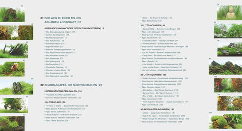 Aquascaping Oliver Knott zur Gestaltung von Aquarienlandschaften – Bild 1 von 5