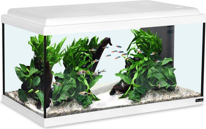 Aquatlantis Advance 60 LED Aquarienset für Fische in Weiß - 54 l – Bild 1 von 2