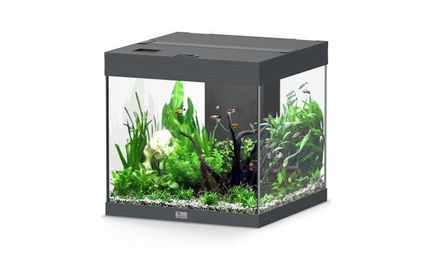 Produktbild von Aquatlantis Aqua Tower 120 Aquarium in Anthrazit
