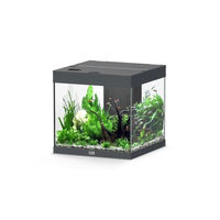 Produktbild von Aquatlantis Aqua Tower 120 Aquarium in Anthrazit