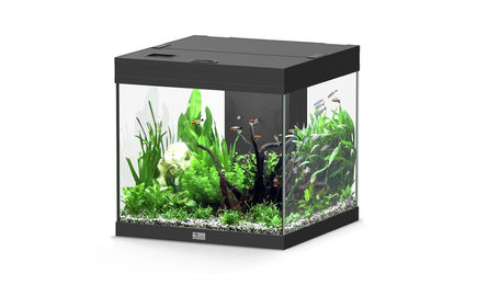 Aquatlantis Aqua Tower 120 Aquarium-Set schwarz – Bild 1 von 2