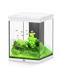 Produktbild von Aquatlantis Aqua Tower 163 Aquarium-Set für Fische in Weiß