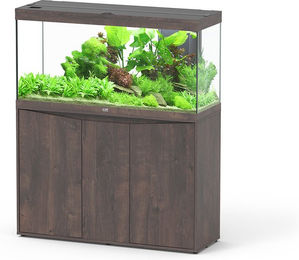 Aquatlantis Aquarienkombination Splendid Ultra 120 240l Wildeiche Dunkel - 240 l – Bild 1 von 2