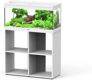 Aquatlantis Aquariumkombination Prestige 80 mit offenem Unterschrank in Weiß – Bild 1 von 2