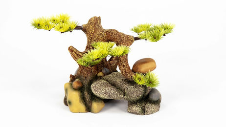 Produktbild von aquatlantis Bonsai auf Stein für Aquarien