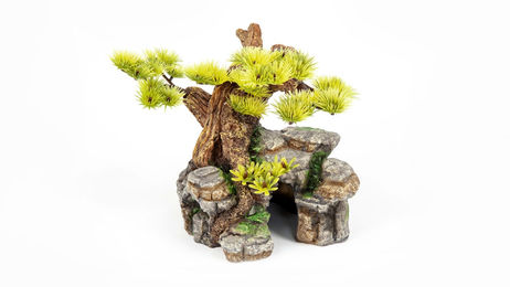 Produktbild von aquatlantis Bonsai Figur und Höhle für Fische in Grün