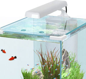 Aquatlantis EasyLed Nanocubic LED-Aufsatzleuchte Weiß – Bild 1 von 3