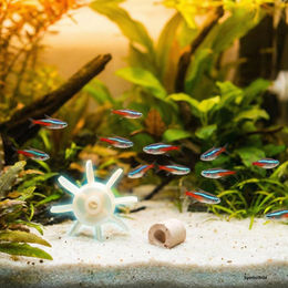 Produktbild von Aquatlantis ELB LED 2.0 SW Splendid 145 LED-Aufsetzleuchte in Stahl
