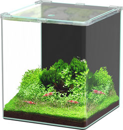 Aquatlantis Kubus Curve LED Basic Aquarium 30 Liter Transparent – Bild 1 von 5