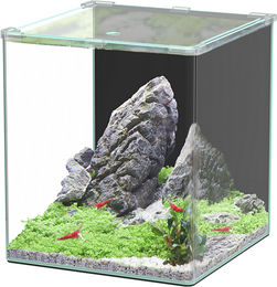 Aquatlantis Kubus Curve LED Basic Aquarium 44 Liter Transparent – Bild 1 von 4