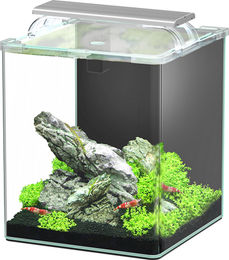 Aquatlantis Kubus Curve LED Complete Aquarium 20 L Transparent – Bild 1 von 4