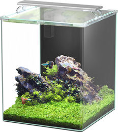 Aquatlantis Kubus Curve LED Complete Aquarium 65 Liter Transparent – Bild 1 von 4