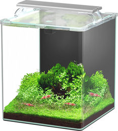 Aquatlantis Kubus Curve LED Essential Aquarium mit 30 Litern – Bild 1 von 5