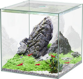 Produktbild von Aquatlantis Kubus Glas Aquarium 10L