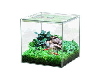 Produktbild von Aquatlantis Kubus Glasbecken 5 L
