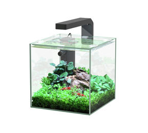 Aquatlantis Kubus LED Aquarium-Set aus Glas für Fische 5 Liter - 5 l – Bild 1 von 1