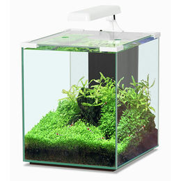 Produktbild von Aquatlantis Nano Cubic 30 LED Aquarium-Set weiß
