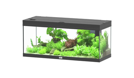 Aquatlantis Prestige 100 Aquarium Set Schwarz – Bild 1 von 2