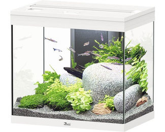 Aquatlantis Splendid 110 Aquarium-Set mit Beleuchtung und Filter in Weiß – Bild 1 von 2