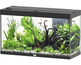 Aquatlantis Splendid 200 Aquarium Schwarz inklusive Beleuchtung und Filter – Bild 1 von 3