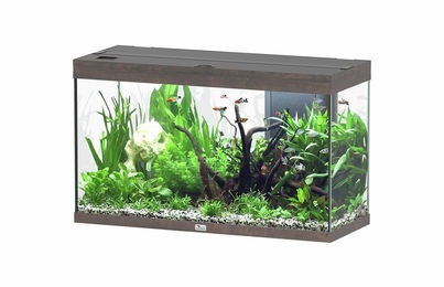 Produktbild von Aquatlantis Splendid 200 Aquarium-Set Wildeiche dunkel