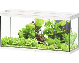 Aquatlantis Splendid 240 Aquarium in Weiß inklusive Beleuchtung und Filter – Bild 1 von 4