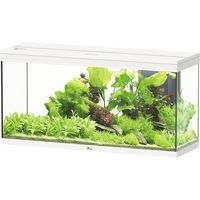 Produktbild von Aquatlantis Splendid 240 Aquarium in Weiß inklusive Beleuchtung und Filter