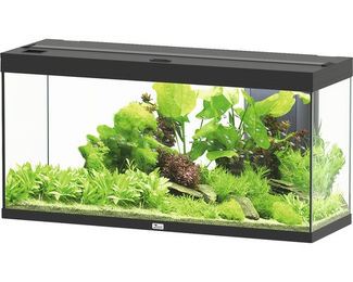 Aquatlantis Splendid 240 Aquarium mit Beleuchtung und Filter in Schwarz – Bild 1 von 2