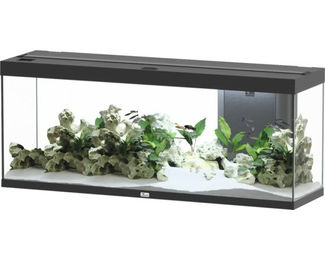 Aquatlantis Splendid 300 Aquarium in Schwarz inklusive Beleuchtung und Filter – Bild 1 von 2
