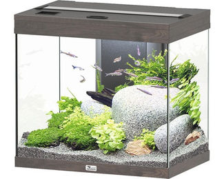Aquatlantis Splendid Ultra 110 Aquarium mit Beleuchtung und Filter in Wildeiche Dunkel – Bild 1 von 3