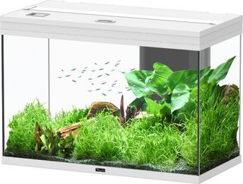 Aquatlantis Splendid Ultra 145 Aquarium in Weiß mit Unterschrank – Bild 1 von 4