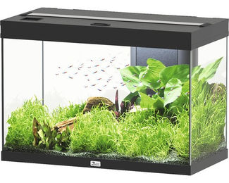 Aquatlantis Splendid Ultra 145 Aquarium Schwarz inklusive Beleuchtung und Filter – Bild 1 von 4