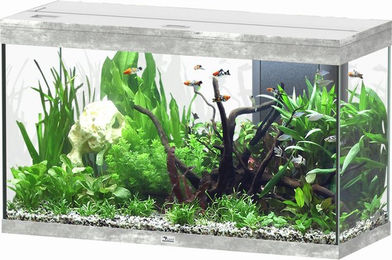 Aquatlantis Splendid Ultra 200 Aquarium-Set in Esche Weiß – Bild 1 von 4