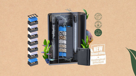 Aquatlantis Splendid Ultra 240 Wildeiche Dunkel Aquarium – Bild 1 von 2