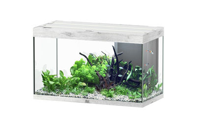 Aquatlantis Sublime 245 Aquarium-Set Esche Weiß 100x50cm – Bild 1 von 4