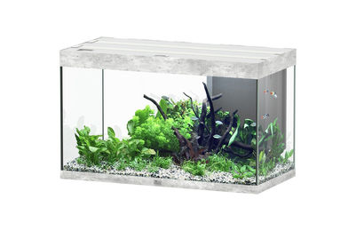 Aquatlantis Sublime 245 Aquarium-Set in Steinoptik 100x50cm – Bild 1 von 4