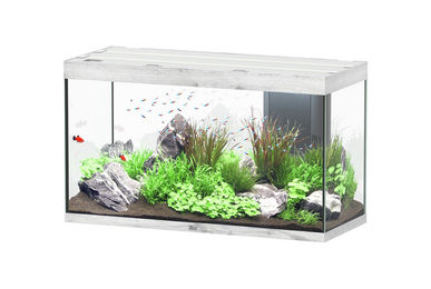 Produktbild von Aquatlantis Sublime 335 Aquarium-Set Esche Weiß 120x50cm