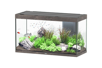 Aquatlantis Sublime 335 Aquarium-Set Wildeiche 120x50cm – Bild 1 von 4