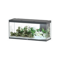 Produktbild von Aquatlantis Sublime 420 Aquarium-Set Anthrazit 150x50cm