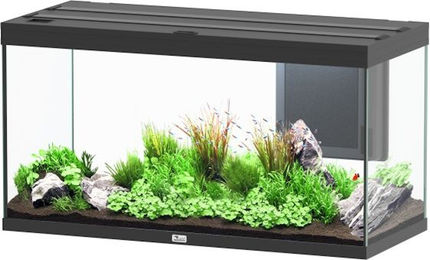Produktbild von Aquatlantis Volga 350 LED Aquarium Schwarz