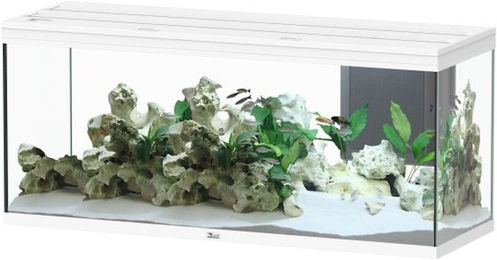 Produktbild von Aquatlantis Volga 450 LED Aquarium Weiß für Fische