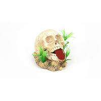 Produktbild von aquatlantis Zierfigur Totenkopf aus Kunstharz in Beige