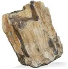 Produktbild von Aquavie Fossiles Holz S1 Stein für Aquarien
