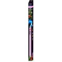 Produktbild von Aquavie Lumivie SP T8 Röhre Rosa